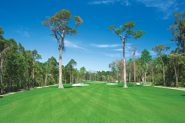 BRG Danang golf